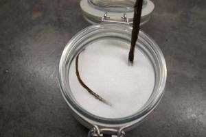 9) Vanilleschote für Vanille-Zucker weiterverwenden